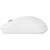 Belaidė pelė CHERRY MW 2200 RF Wireless