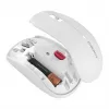 Belaidė pelė CHERRY MW 2200 RF Wireless