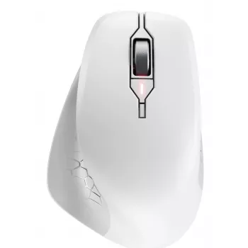 Belaidė RF pelė Cherry Stream Mouse Comfort RF Wireless, pilkai balta