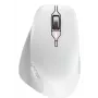 Belaidė RF pelė Cherry Stream Mouse Comfort RF Wireless, pilkai balta