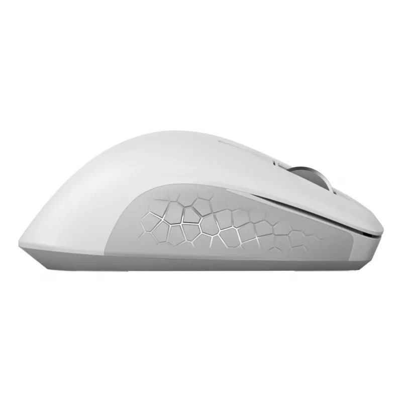 Belaidė RF pelė Cherry Stream Mouse Comfort RF Wireless, pilkai balta