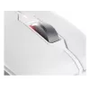 Belaidė RF pelė Cherry Stream Mouse Comfort RF Wireless, pilkai balta