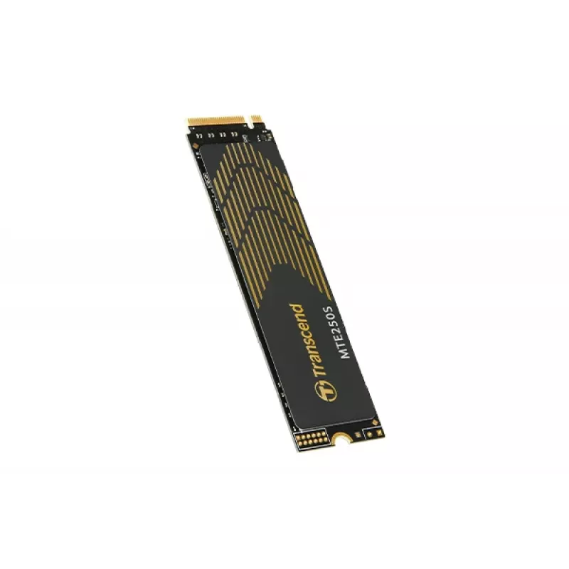 TRANSCEND PCIe SSD 250s 1TB M.2 2280 NVMe PCI-E GEN4 x4 3D NAND Flash