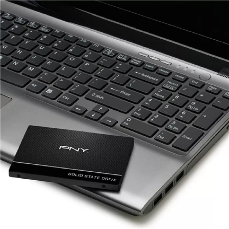 SSD diskas PNY CS900 250 GB 2,5 colio SATA III SSD7CS900-250-RB