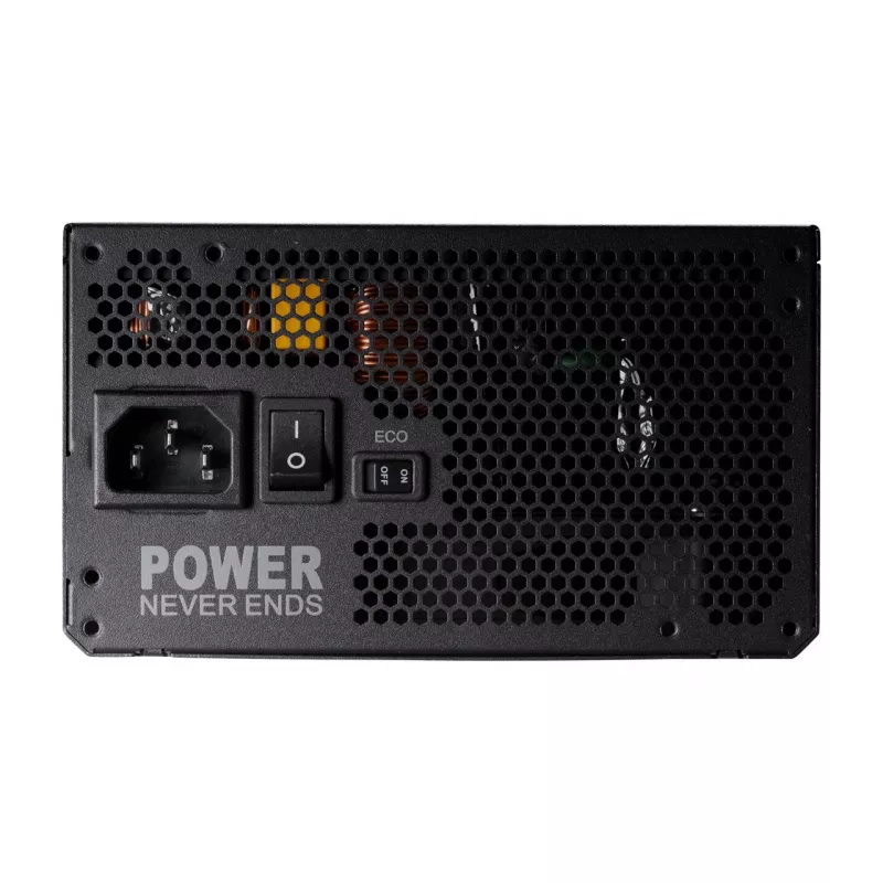 FSP ADVAN GM 1000W Maitinimo blokas ATX ATX3.1 Juodas