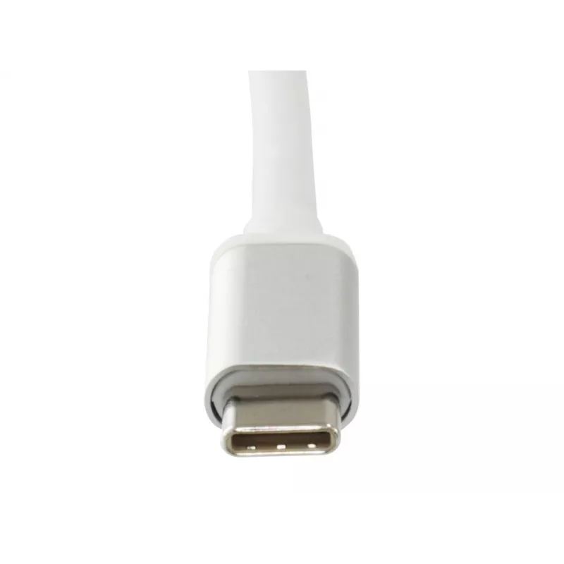 Tinklo adapteris LevelOne USB-0402 Gigabit USB-C