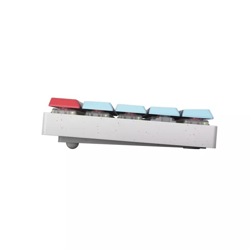 CHERRY MX-LP 2.1 belaidė kompaktiška klaviatūra, RF Wireless + Bluetooth, QWERTZ vokiškas išdėstymas, balta