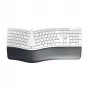 CHERRY KC 4500 ERGO ergonominė klaviatūra USB QWERTZ balta
