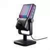 Stalinis mikrofonas CHERRY NGALE R, 20–20000 Hz, 0,5 % THD, 24 bit, 96 kHz, 4,7 mV/Pa