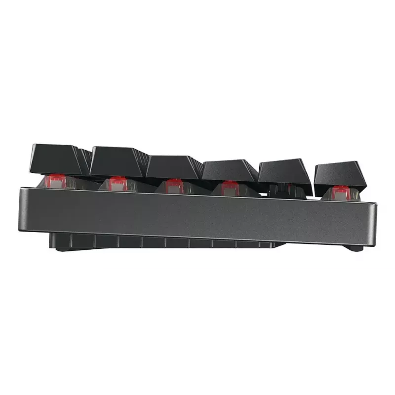 CHERRY MX 8.2 TKL Wireless RGB klaviatūra žaidimams USB + belaidis RF + Bluetooth QWERTZ vokiška juoda