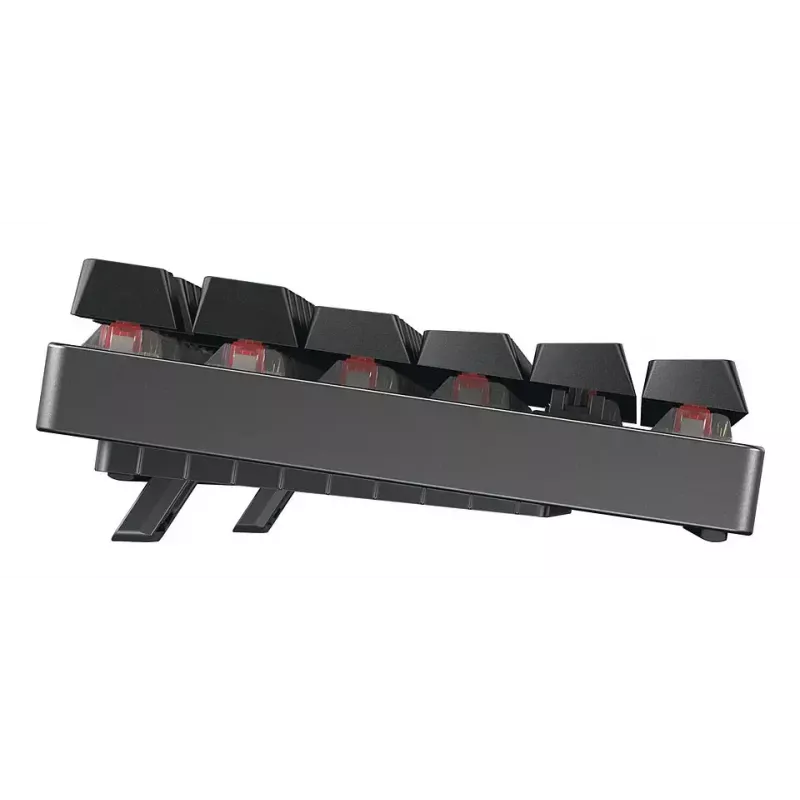 CHERRY MX 8.2 TKL Wireless RGB klaviatūra žaidimams USB + belaidis RF + Bluetooth QWERTZ vokiška juoda