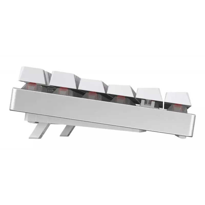 CHERRY MX 8.2 TKL Wireless RGB klaviatūra, žaidimų, USB + belaidis RF + Bluetooth, QWERTZ vokiškas, balta