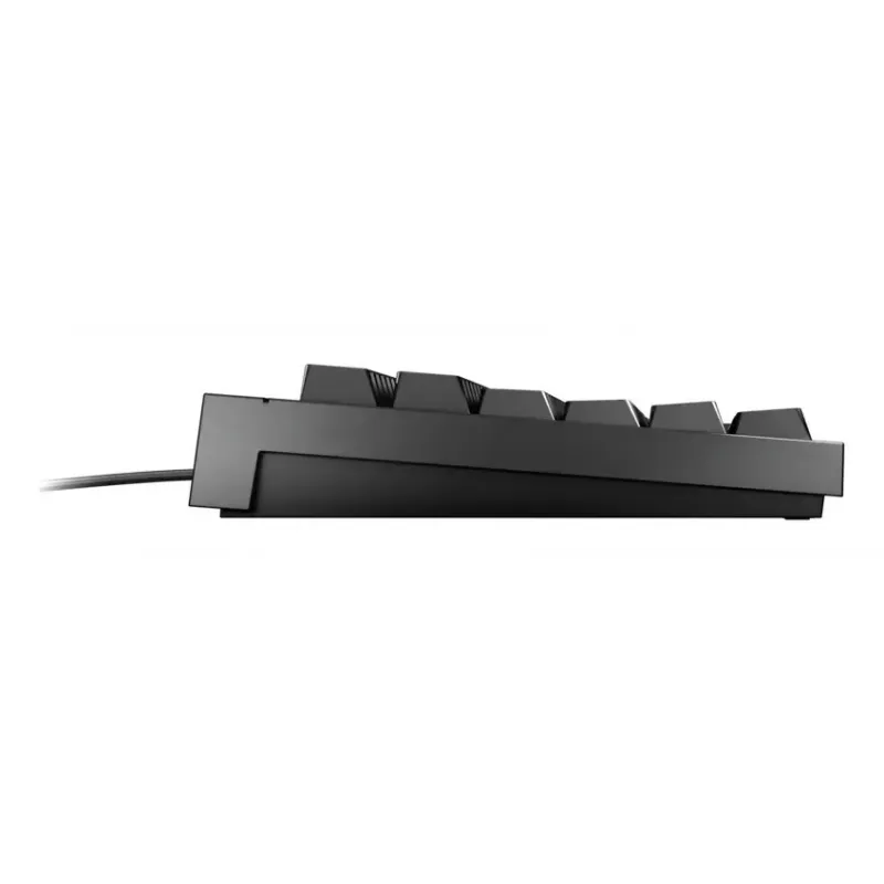 Žaidimų klaviatūra CHERRY MX 2.0S USB QWERTZ Vokiška juoda mechaninė RGB