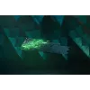 Žaidimų klaviatūra Razer Huntsman V2 RZ03-03931000-R3G1