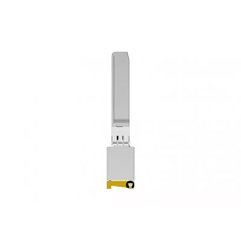 NETGEAR AXM765 SFP+ 10GBase-T RJ-45 modulis, veikia iki 80 m