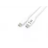 Equip USB 3.2 Gen 1 Type-C į C laidas, vyriškas / vyriškas, 2 m