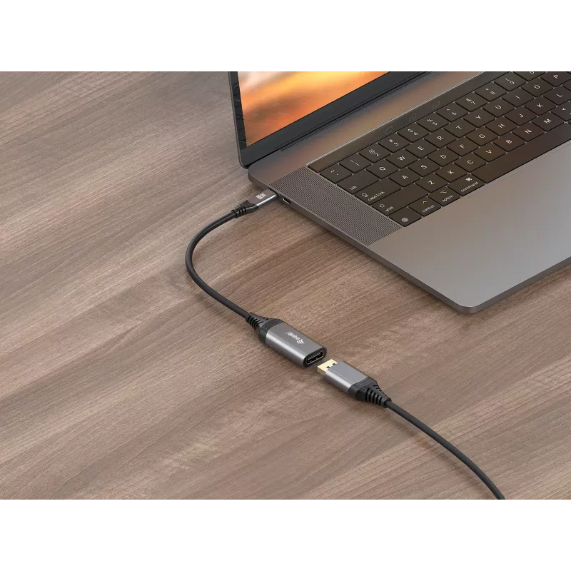 Equip USB-C į DisplayPort 1.4 adapteris 8K 30Hz 0,15 m
