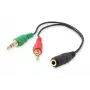 Equip garso skirstytuvas, juodas, 3,5 mm, 2 x 3,5 mm, moteriškas, vyriškas, PVC