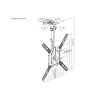 Lubinis TV laikiklis Equip 23-55 colių, VESA 75x75–400x400 mm, pasukamas 0-80°, sukamas -45-45°, juodas