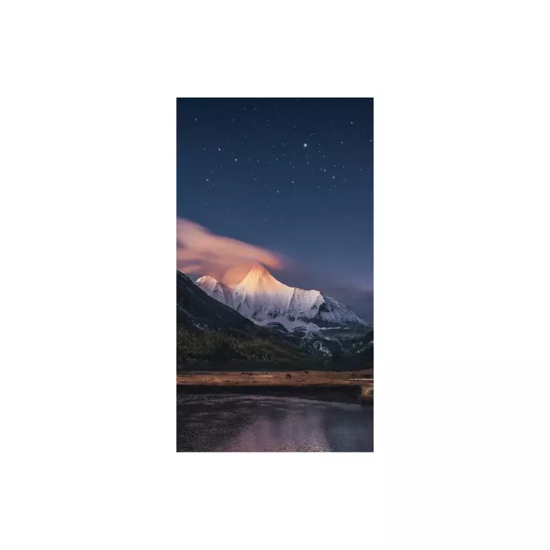 Monitorius Samsung VH55R-R 55 colių LCD Full HD 1920 x 1080
