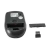 Equip 245104 pelė kelionėms Ambidextrous RF Wireless Optinė 1600 DPI