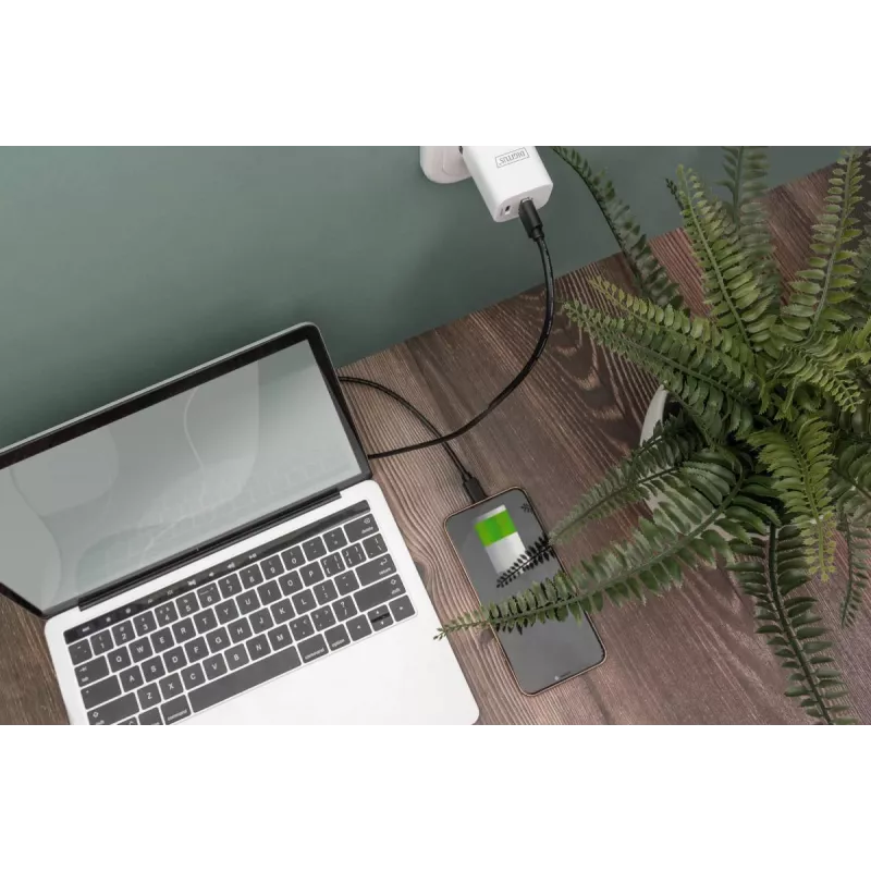 DIGITUS ASSMANN USB Type-C jungiamasis laidas, tipas C į A M/M, 3 m, 3 A, 480 Mb/s, 2.0 versija, juoda