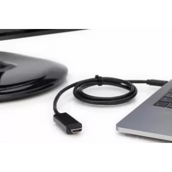 DIGITUS USB-C Gen2 į HDMI-A adapterio laidas - 2 m