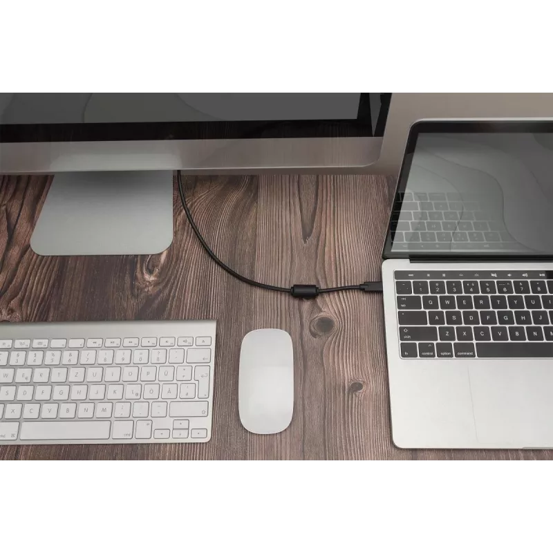 DIGITUS USB Type-C į DisplayPort adapterio laidas, 2 m, 4K/60Hz, 32,4 Gb/s, juodas