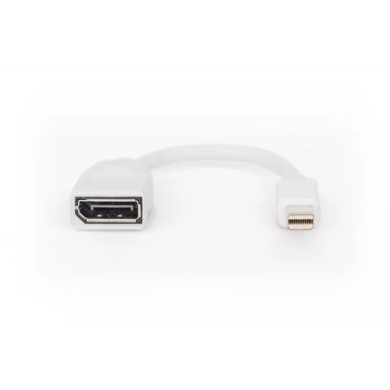 DIGITUS adapterinis kabelis DisplayPort, mini DP - DP M/F, 0,15 m, DP 1.2, baltas