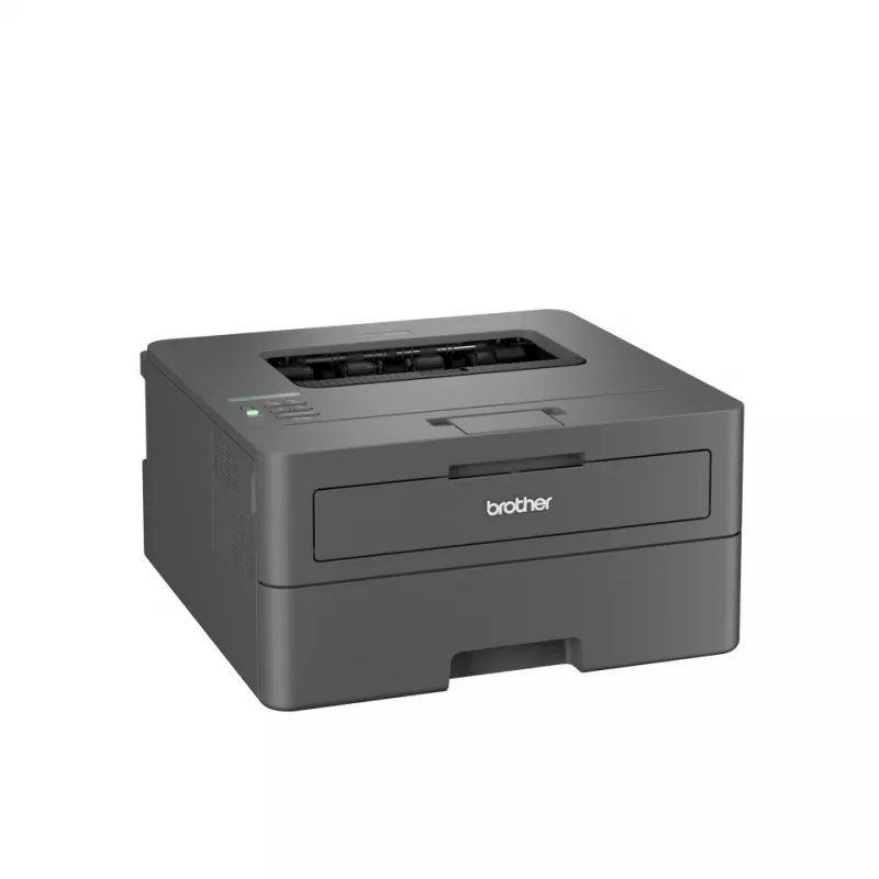 Brother HL-L2400DWE lazerinis spausdintuvas 1200 x 1200 DPI A4 Wi-Fi