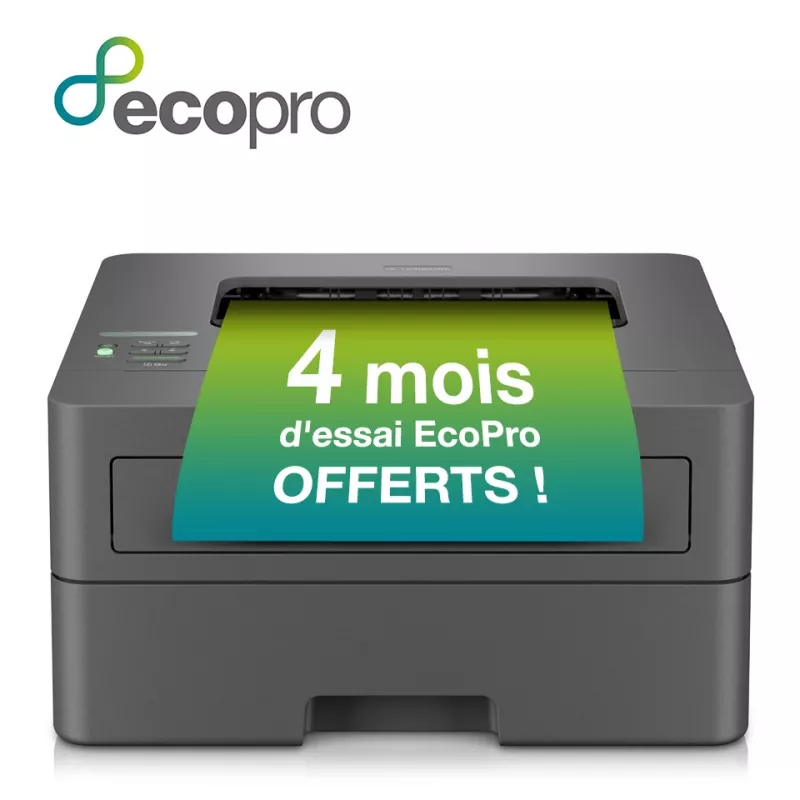 Brother HL-L2400DWE lazerinis spausdintuvas 1200 x 1200 DPI A4 Wi-Fi