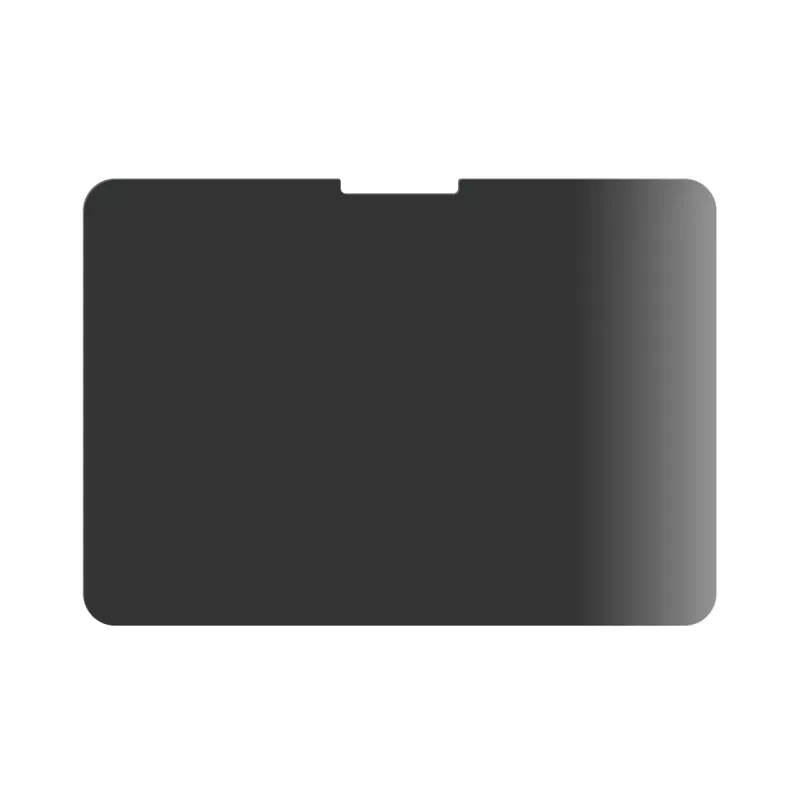 PanzerGlass® privatumo ekrano apsauga iPad Pro 11'' (2024-2025) | Ultra-Wide Fit
