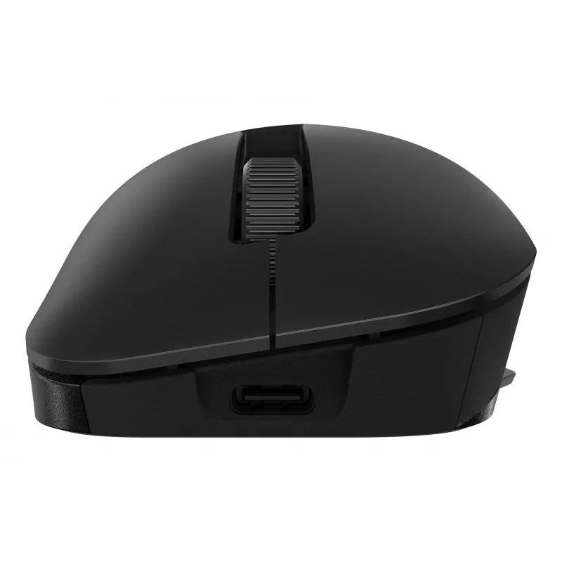 ASUS ProArt MD300 pelė biuro darbui Dešinei rankai RF belaidė + Bluetooth Optinė 4200 DPI