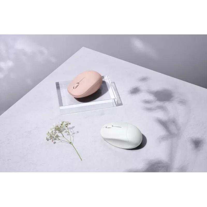 ASUS Fragrance MD101 pelė namams Ambidextrinė RF belaidė + Bluetooth optinė 2400 DPI