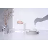 ASUS Fragrance MD101 pelė namams Ambidextrinė RF belaidė + Bluetooth optinė 2400 DPI