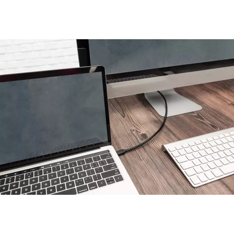 DIGITUS USB Type-C jungiamasis laidas, C–C M/M, 1 m, Gen2 juodas (AK-300139-010-S)