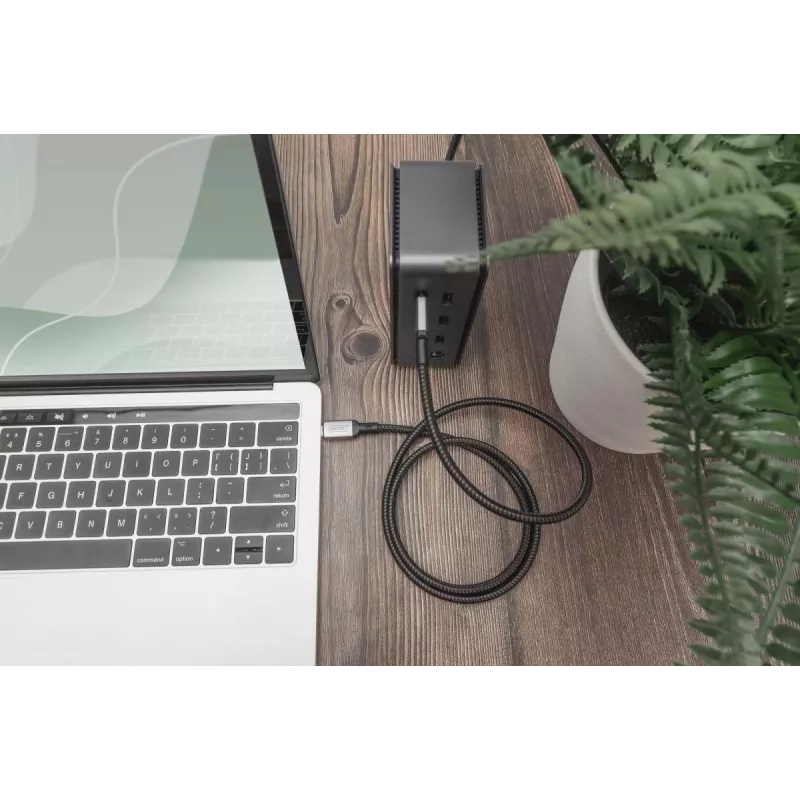 DIGITUS USB 4 jungiamasis laidas, TypeC į TypeC, AL korpusas, PP pynė, 4K 60Hz, PD3.0, 20 Gbit/s, 3 m, juoda