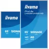 iiyama ProLite LH6581UHSG-1AG skaitmeninės reklamos ekranas 163,8 cm (64,5 colio), 4K Ultra HD, baltas, su Android