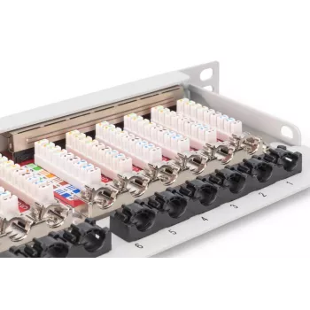 DIGITUS Patch panel CAT6A EA ekranuotas, 24 prievadai RJ45 su apsauginiais gaubtukais, 8P8C, 0,5U, pilkas RAL 7035