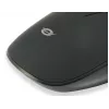 Conceptronic REGAS01B pelė biurui Ambidekstrinė USB Type-A Optinė 1200 DPI