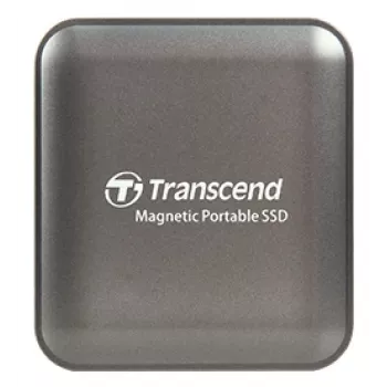 TRANSCEND SSD ESD420 nešiojamas diskas 1TB USB-C geležinis