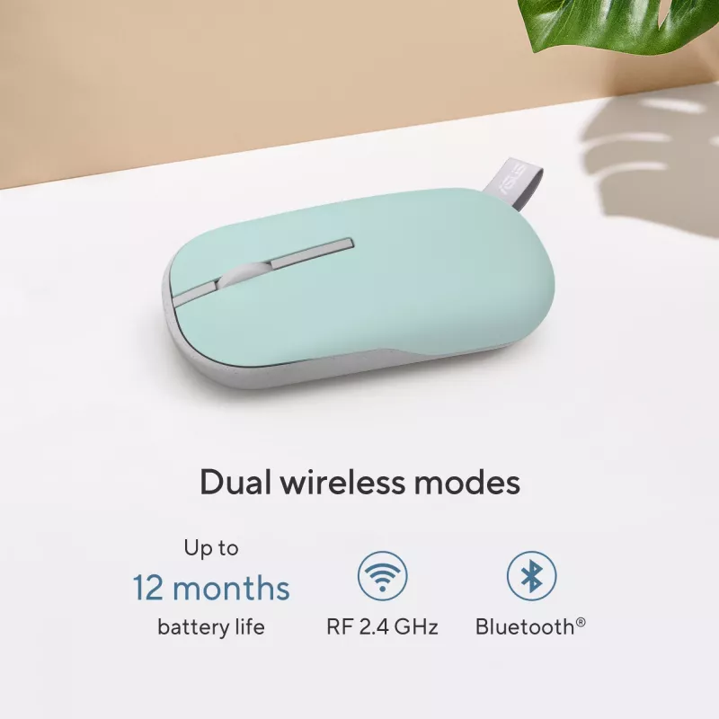 ASUS Marshmallow MD100 pelė biurui, abipusė, RF belaidė + Bluetooth, optinė, 1600 DPI