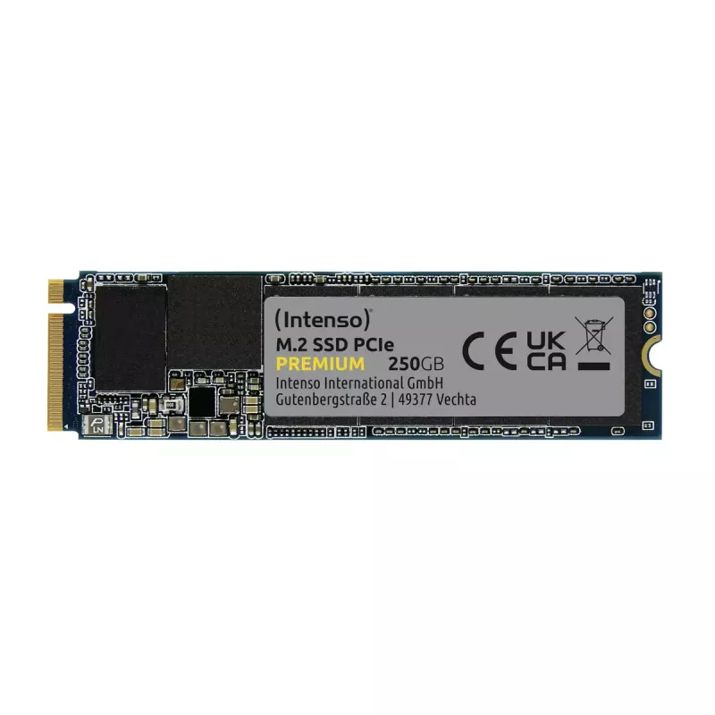 SSD diskas Intenso 250 GB M.2 PCI Express 3.0 NVMe