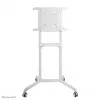 Neomounts NS-M1250WHITE mobilus TV stovas 37-70 colių - sukamas