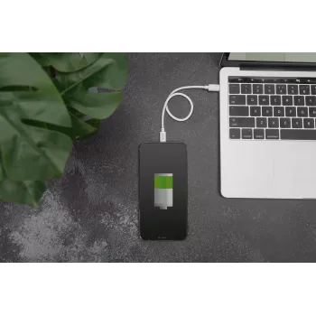 Įkrovimo laidas USB-C – Lightning Digitus Data DB-600109-010-W