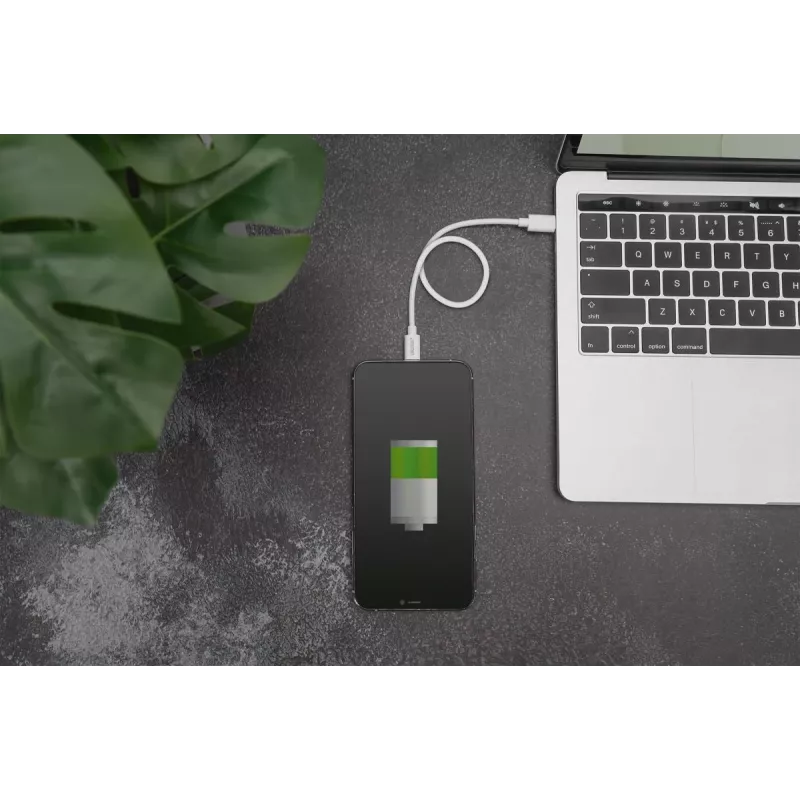 Įkrovimo laidas USB-C – Lightning Digitus Data DB-600109-010-W