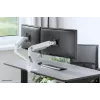 Neomounts DS70S-950WH2 Monitorinis laikiklis 17-35 colių – dujinė spyruoklė – Topfix – 180° stabdiklis