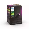 Philips Hue White and colour ambience Lily lauko prožektorius