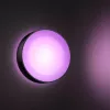 Philips Hue Daylo lauko sieninis šviestuvas, juodos spalvos, White and colour ambience