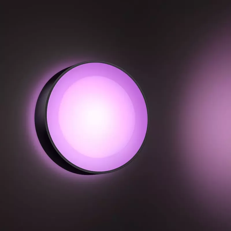 Philips Hue Daylo lauko sieninis šviestuvas, juodos spalvos, White and colour ambience